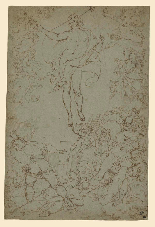 5000-1148-gm-00016201