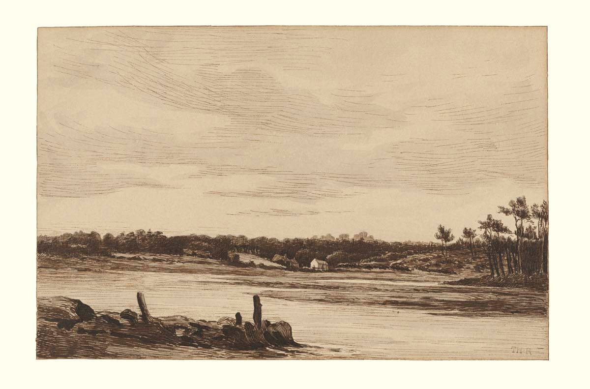  5000-1746-gm-11324001