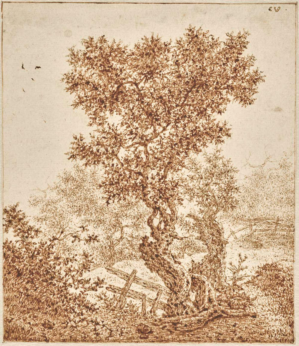 Gm-37633401.jpg
